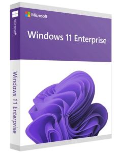 Windows 11 Enterprise 1 PC Lifetime Validity